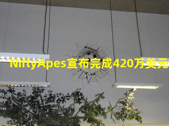 NiftyApes宣布完成420万美元融资