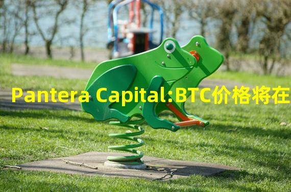 Pantera Capital:BTC价格将在12月30日达到谷底 下次减半后2025年高点会达到14.8万美元