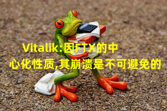 Vitalik:因FTX的中心化性质,其崩溃是不可避免的