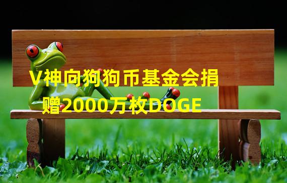 V神向狗狗币基金会捐赠2000万枚DOGE