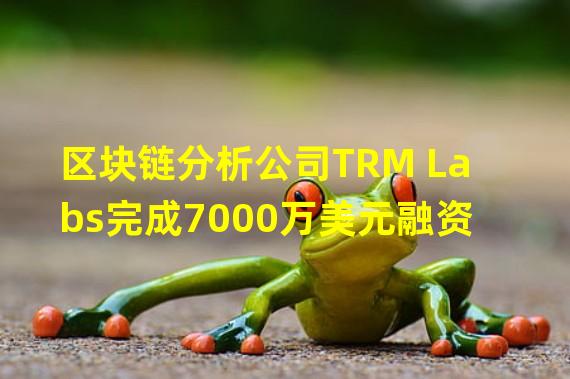 区块链分析公司TRM Labs完成7000万美元融资