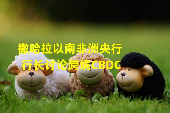 撒哈拉以南非洲央行行长讨论跨境CBDC