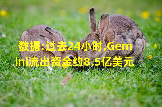 数据:过去24小时,Gemini流出资金约8.5亿美元