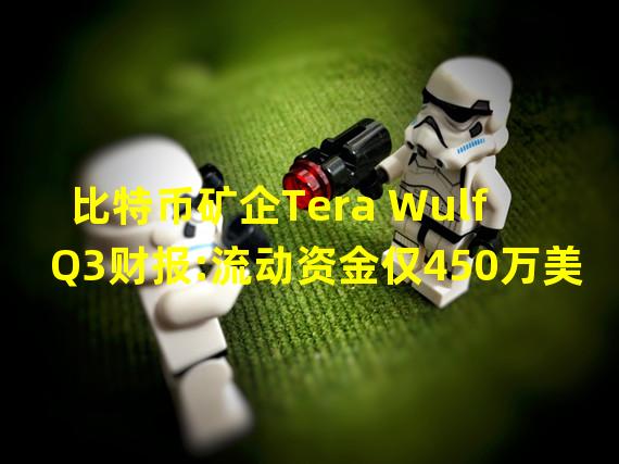 比特币矿企Tera Wulf Q3财报:流动资金仅450万美元,未偿还贷款本金达1.385亿美元