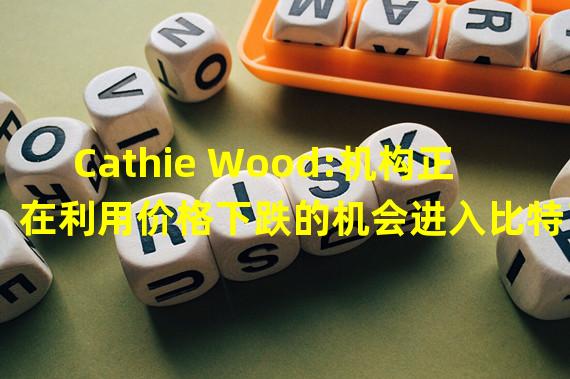 Cathie Wood:机构正在利用价格下跌的机会进入比特币