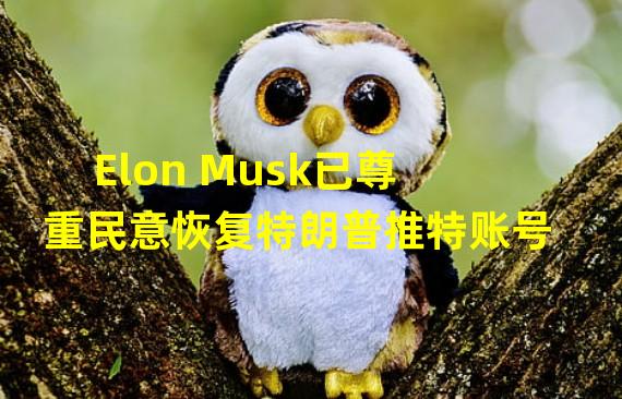 Elon Musk已尊重民意恢复特朗普推特账号