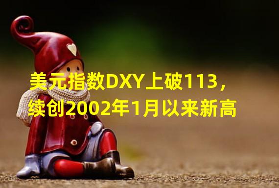 美元指数DXY上破113，续创2002年1月以来新高