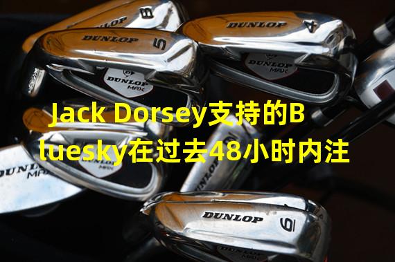 Jack Dorsey支持的Bluesky在过去48小时内注册用户达3万名