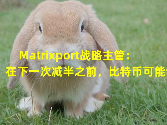 Matrixport战略主管：在下一次减半之前，比特币可能会上涨至63000美元