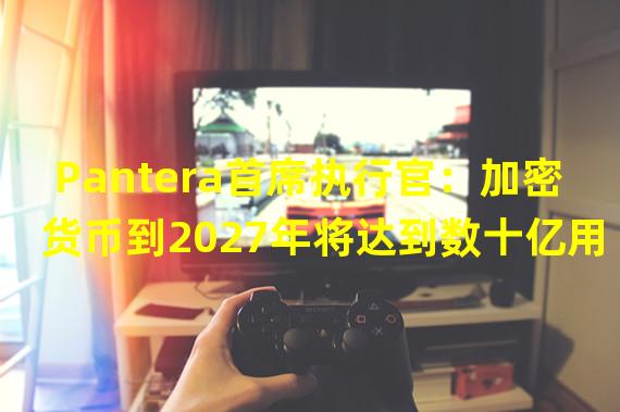 Pantera首席执行官：加密货币到2027年将达到数十亿用户