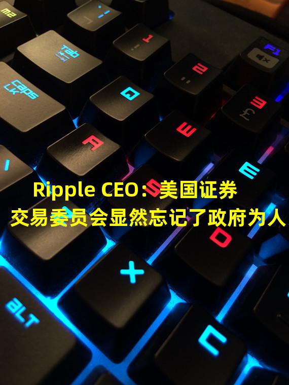 Ripple CEO：美国证券交易委员会显然忘记了政府为人民服务