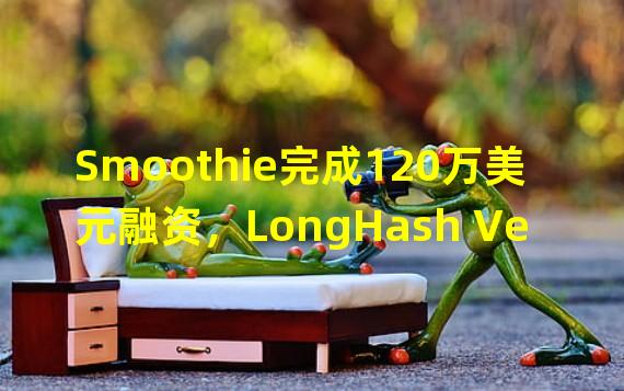 Smoothie完成120万美元融资，LongHash Ventures参投