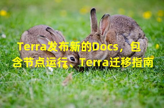 Terra发布新的Docs，包含节点运行、Terra迁移指南等