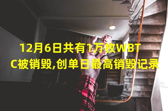 12月6日共有1万枚WBTC被销毁,创单日最高销毁记录