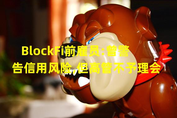 BlockFi前雇员:曾警告信用风险,但高管不予理会