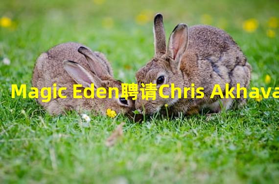 Magic Eden聘请Chris Akhavan担任公司首席游戏官