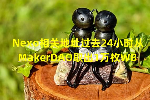 Nexo相关地址过去24小时从MakerDAO取出1万枚WBTC并转入Wintermute地址