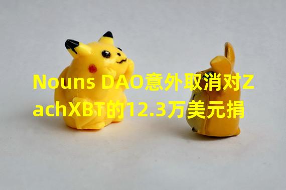 Nouns DAO意外取消对ZachXBT的12.3万美元捐赠