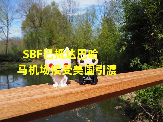 SBF已抵达巴哈马机场接受美国引渡