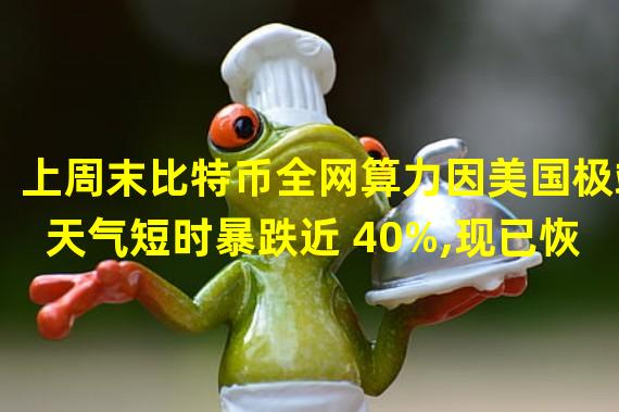 上周末比特币全网算力因美国极端天气短时暴跌近 40%,现已恢复