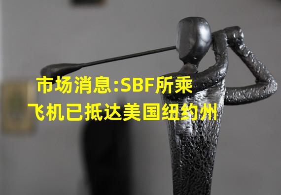 市场消息:SBF所乘飞机已抵达美国纽约州