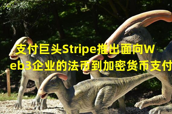 支付巨头Stripe推出面向Web3企业的法币到加密货币支付产品onramp