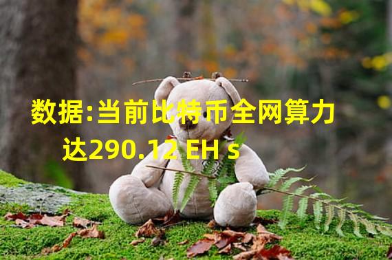 数据:当前比特币全网算力达290.12 EH s