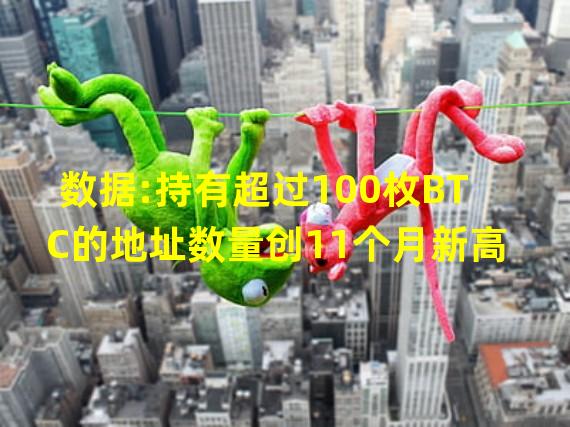 数据:持有超过100枚BTC的地址数量创11个月新高