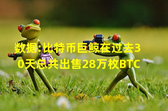 数据:比特币巨鲸在过去30天总共出售28万枚BTC