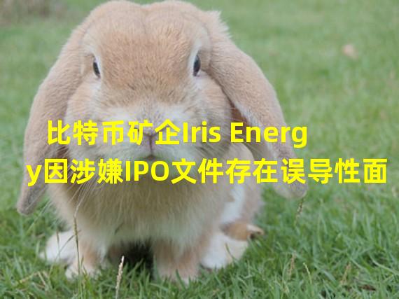 比特币矿企Iris Energy因涉嫌IPO文件存在误导性面临股东集体诉讼