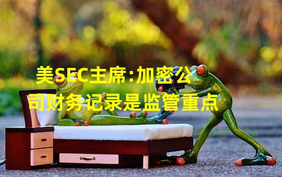 美SEC主席:加密公司财务记录是监管重点