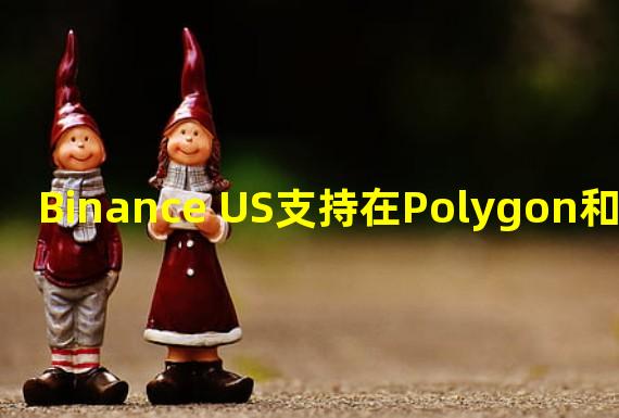 Binance US支持在Polygon和Avalanche网络上USDT充提