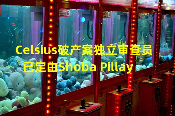 Celsius破产案独立审查员已定由Shoba Pillay担任，其将制作Celsius财务状况报告