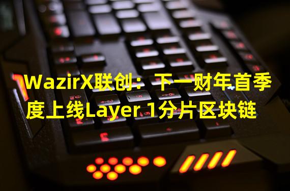 WazirX联创：下一财年首季度上线Layer 1分片区块链“Shardeum”