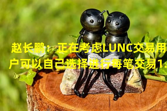 赵长鹏：正在考虑LUNC交易用户可以自己选择进行每笔交易1.2%的销毁的方案