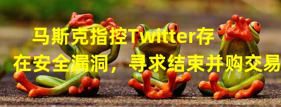 马斯克指控Twitter存在安全漏洞，寻求结束并购交易