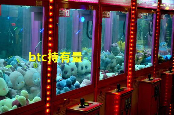 btc持有量