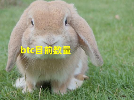 btc目前数量