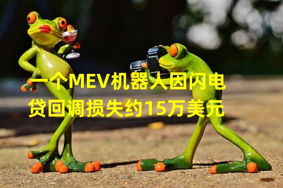 一个MEV机器人因闪电贷回调损失约15万美元