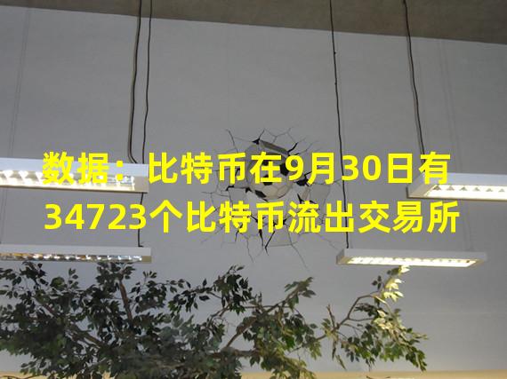 数据：比特币在9月30日有34723个比特币流出交易所