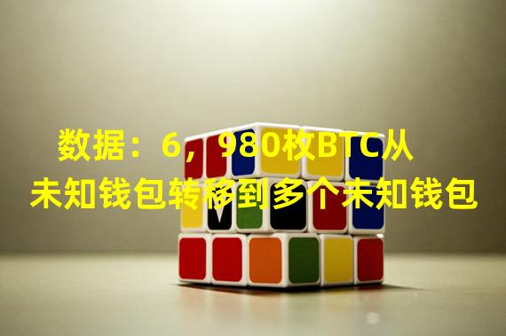 数据：6，980枚BTC从未知钱包转移到多个未知钱包