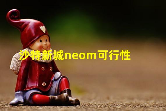 沙特新城neom可行性