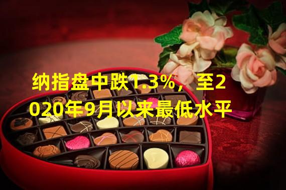 纳指盘中跌1.3%，至2020年9月以来最低水平