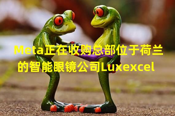 Meta正在收购总部位于荷兰的智能眼镜公司Luxexcel