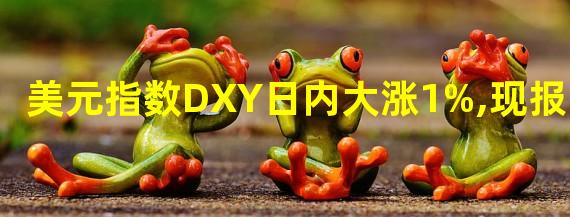 美元指数DXY日内大涨1%,现报104.71