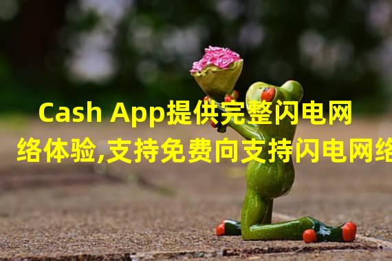 Cash App提供完整闪电网络体验,支持免费向支持闪电网络的钱包发送和接收比特币