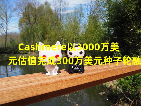 Cashmere以3000万美元估值完成300万美元种子轮融资,Coinbase Ventures参投