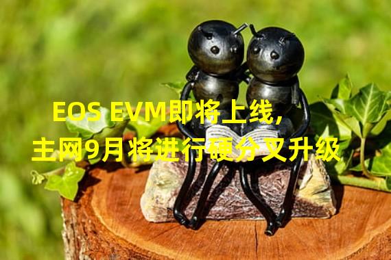 EOS EVM即将上线,主网9月将进行硬分叉升级