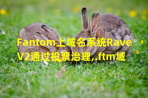 Fantom上域名系统Rave V2通过投票治理,.ftm域名将能在NFT市场交易