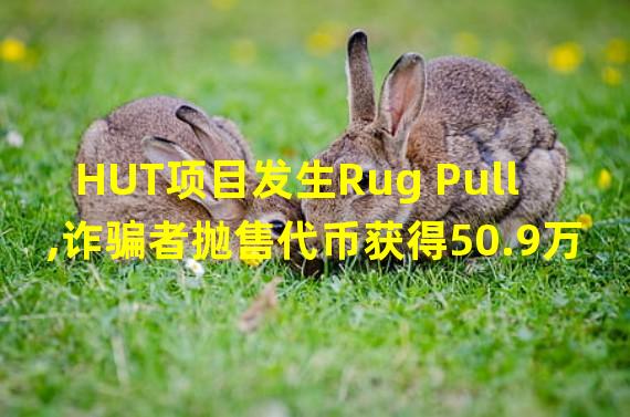 HUT项目发生Rug Pull,诈骗者抛售代币获得50.9万USDT